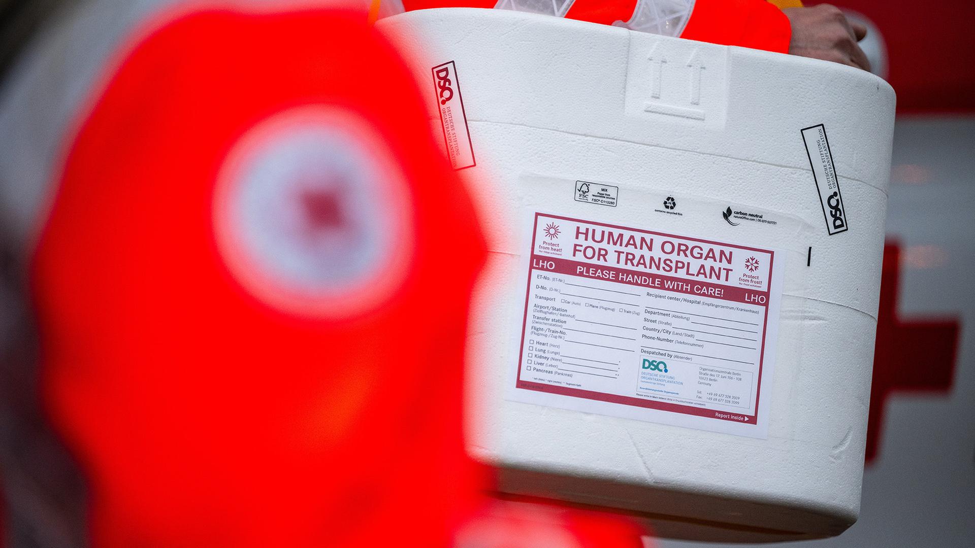 Ein Mensch in reflektierender Arbeitskleidung hält eine Kühlbox für Organtransplantationen. | dpa