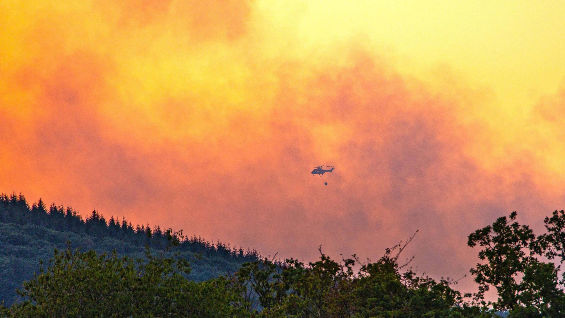 Feuer in NRW: Kampf gegen Waldbrände geht weiter