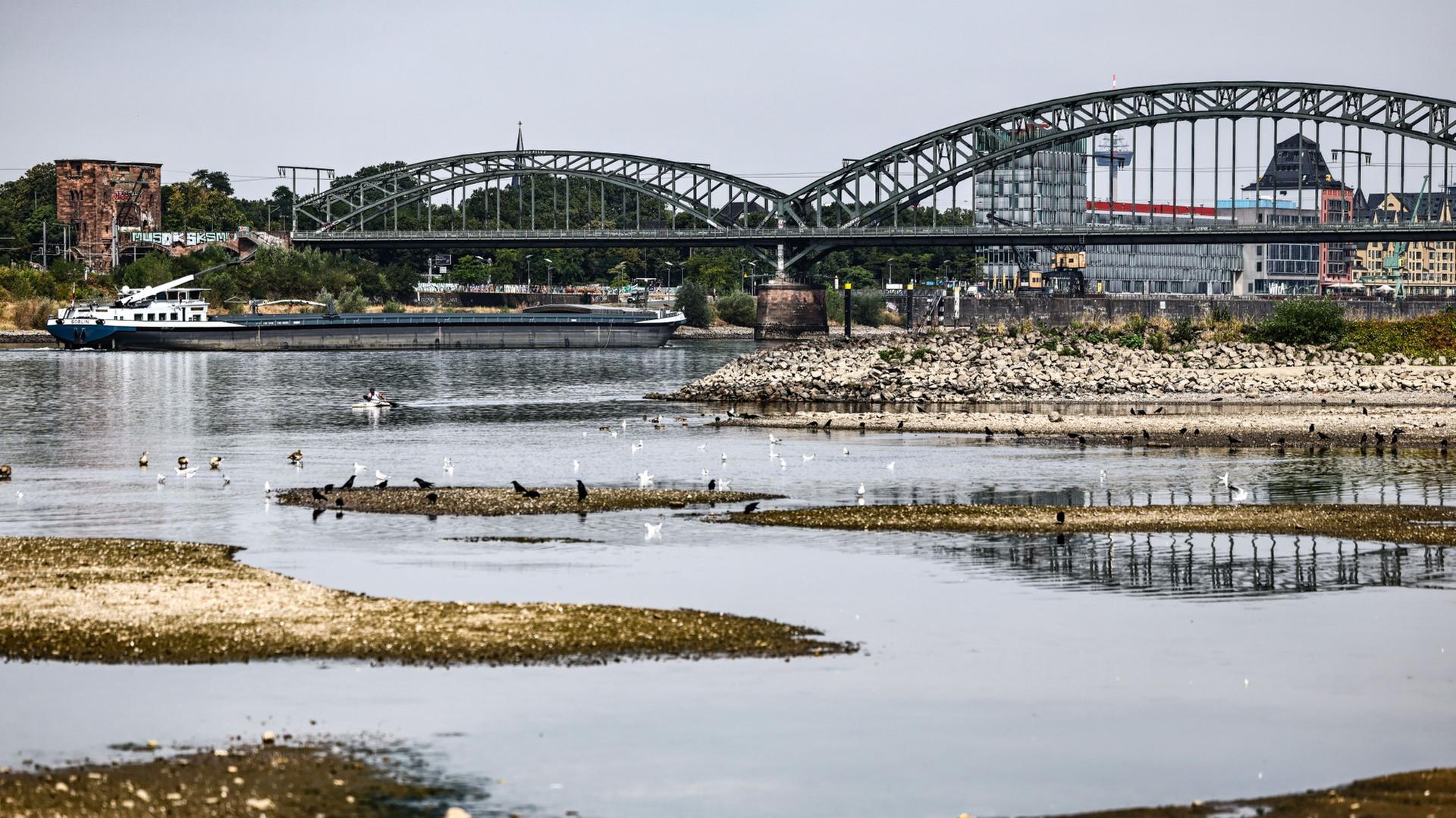 Ein Binnenschiff fährt bei niedrigem Pegelstand unter der Südbrücke über den Rhein in Köln.  | Oliver Berg/dpa