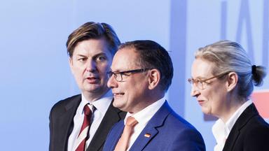 AfD-Politiker Maximilian Krah (l.), Tino Chrupalla und Alice Weidel