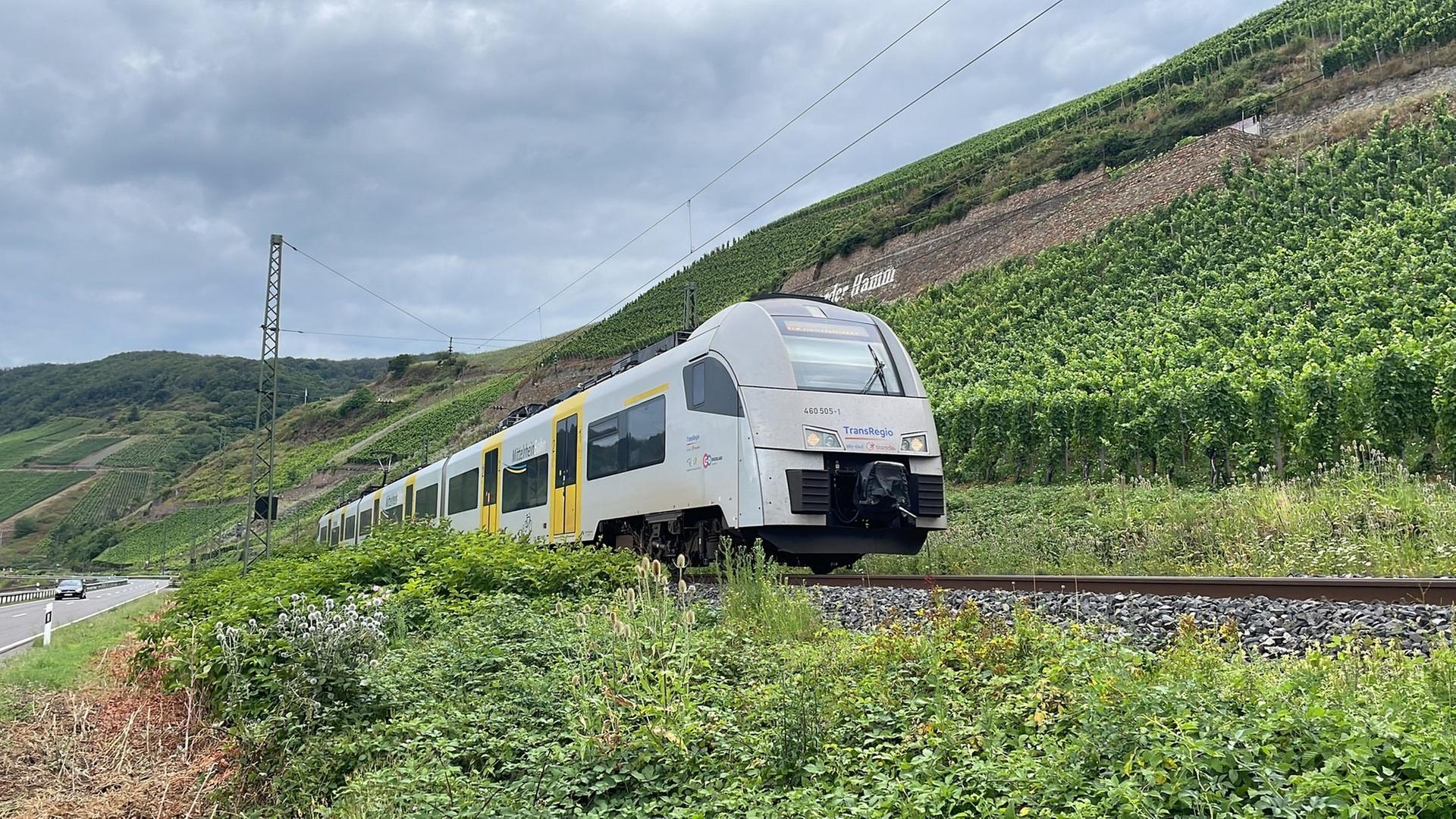 Ein Regionalzug fährt durch Weinberge am Mittelrhein in der Nähe von Boppard | SWR, Constantin Pläcking