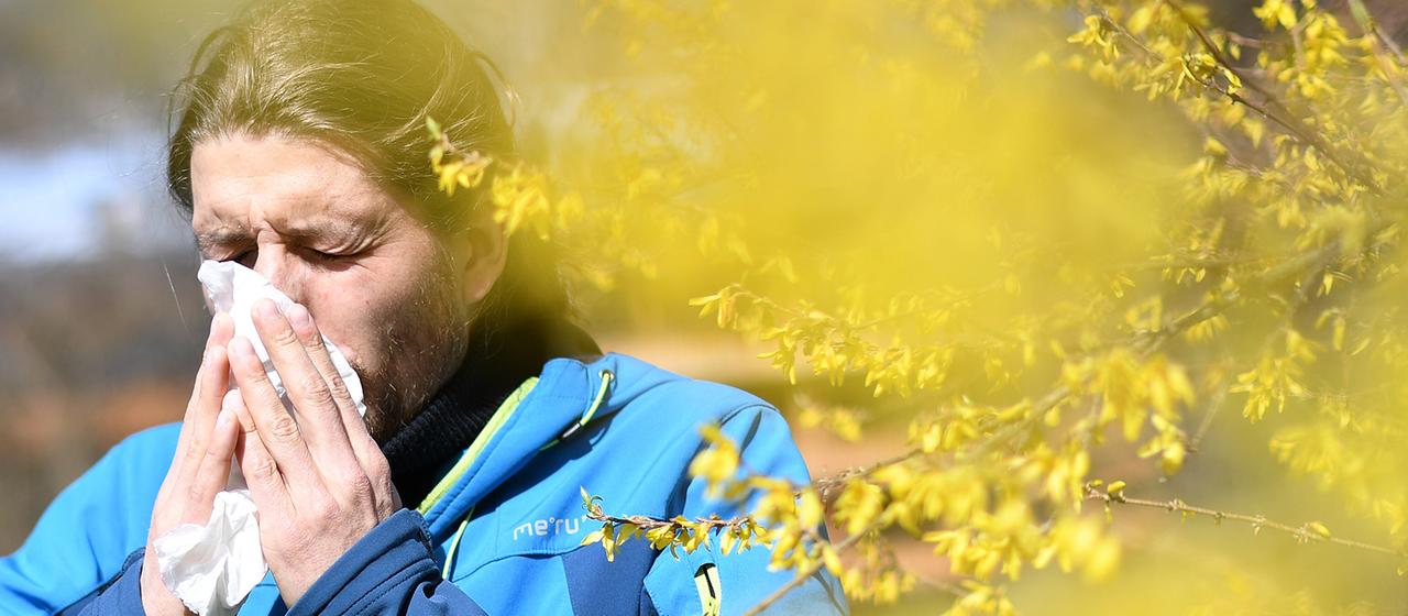 Warum immer mehr Menschen allergisch reagieren