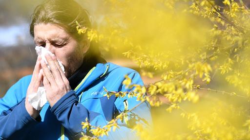 Warum immer mehr Menschen allergisch reagieren