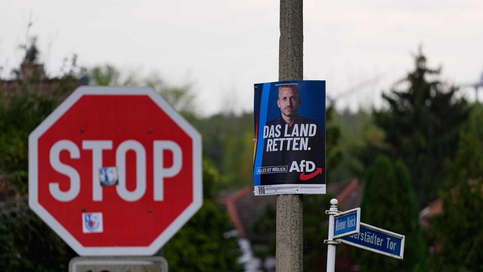 Bildungsstätte Anne Frank sieht AfD-Wahlsieg als "Alarmsignal"