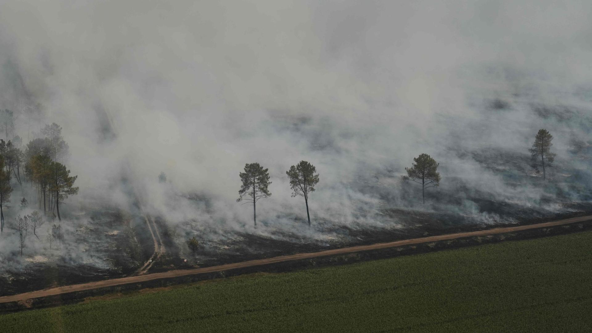Waldbrände bei Bordeaux: Feuerwehr kämpft gegen neue Flammen