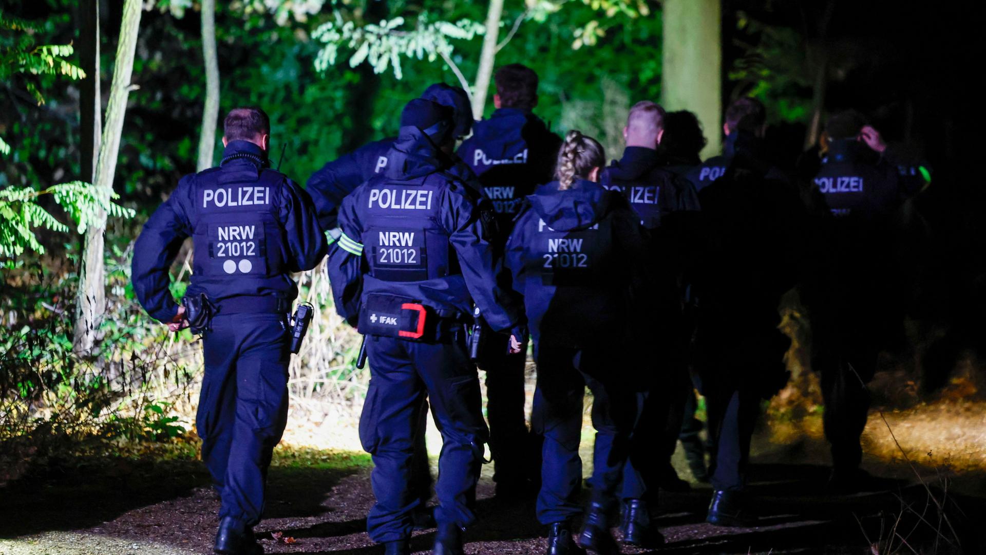 Polizeikräfte durchsuchen am späten Abend den Hambacher Forst. | Thomas Banneyer/dpa