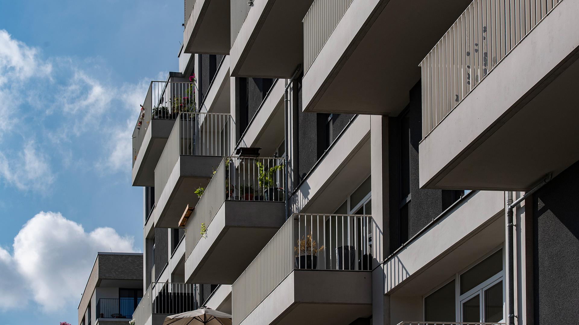 Häuser der Europacity, auch Entwicklungsgebiet Heidestraße genannt. (Quelle: dpa/Paul Zinken) | dpa/Paul Zinken
