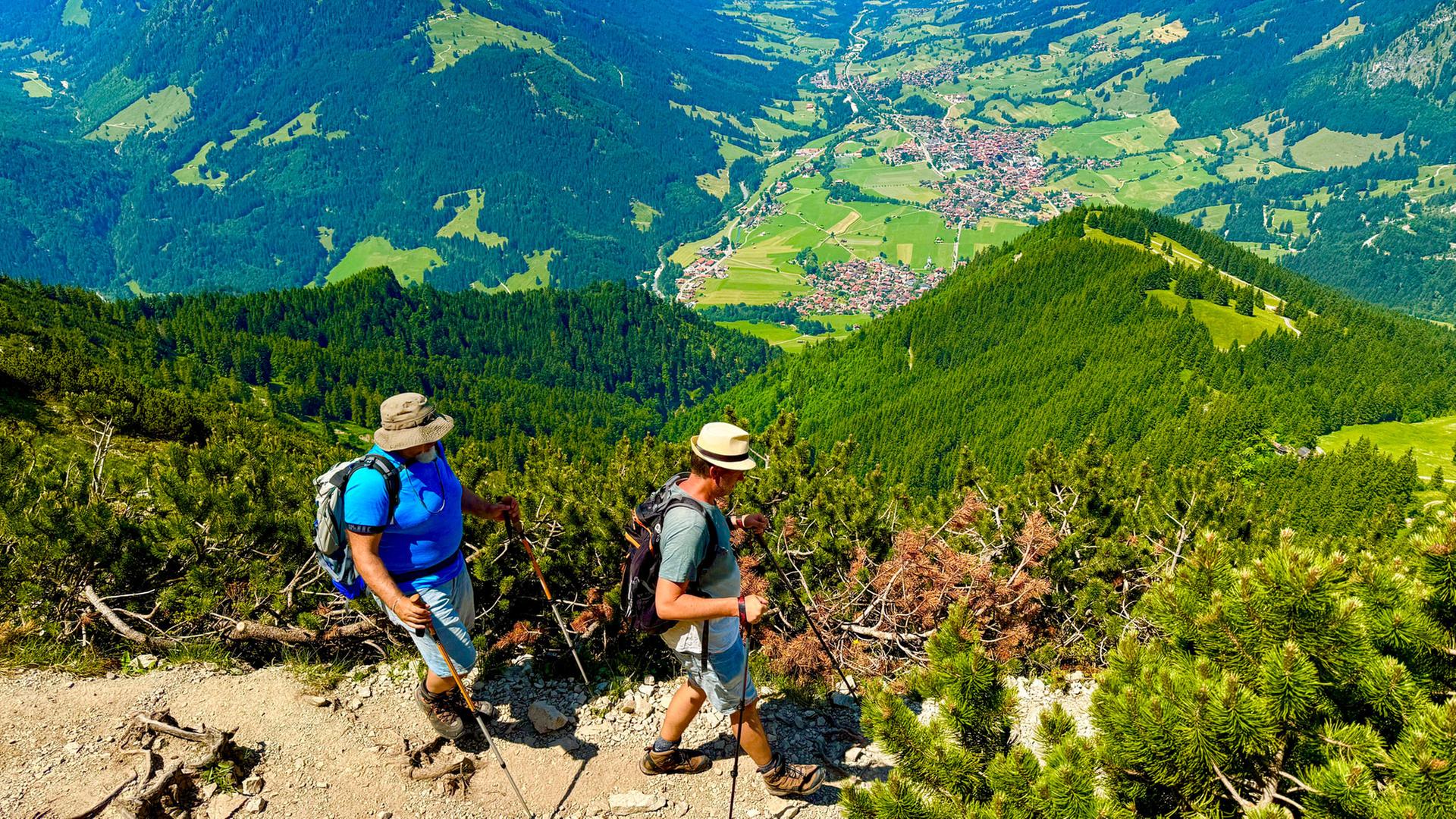 Allgäuer Landschaft: Alpe Breitengehren | picture alliance / imageBROKER