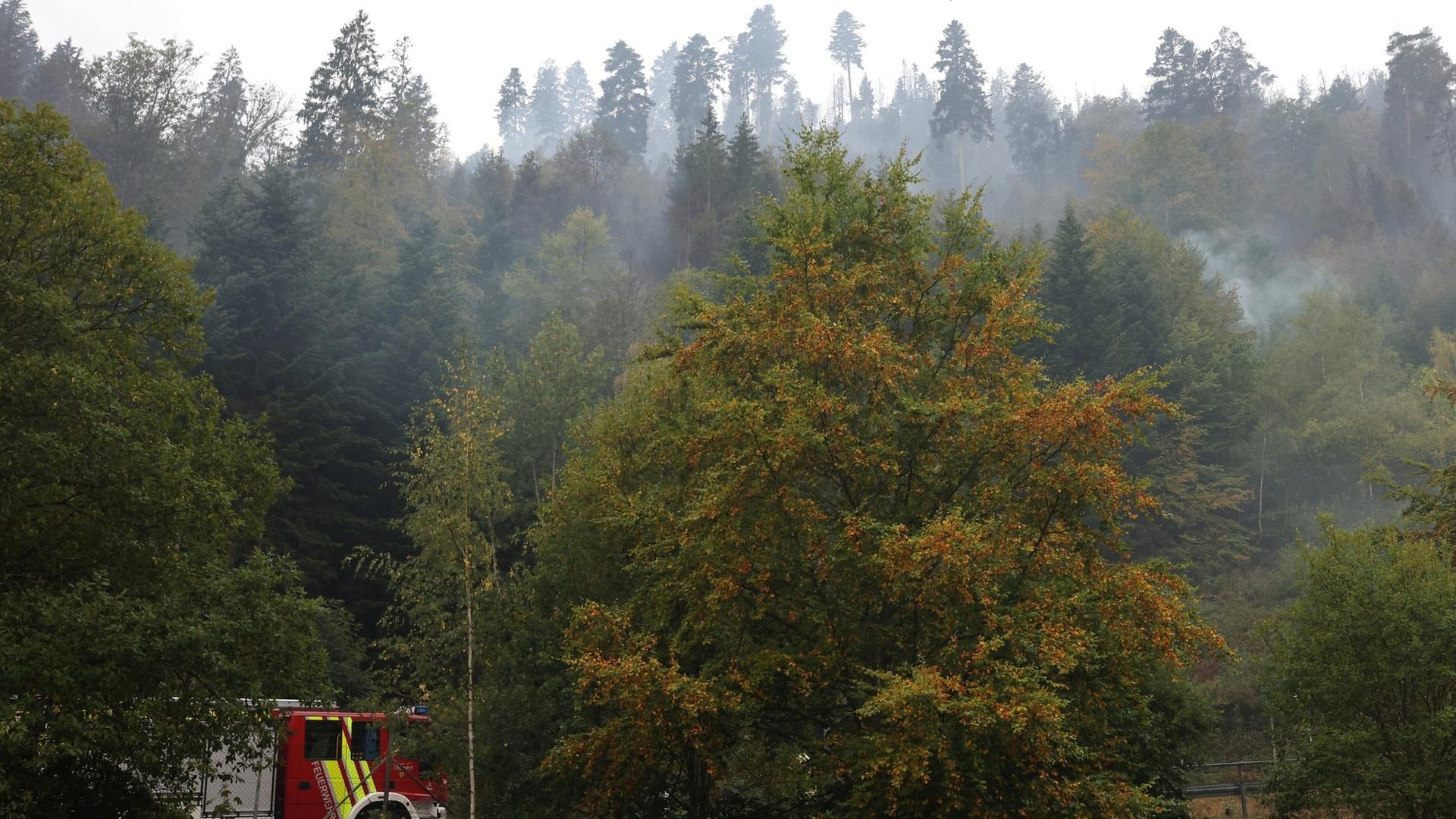 Waldbrand Schramberg: Feuer unter Kontrolle, Spezialeinheit löscht Glutnester