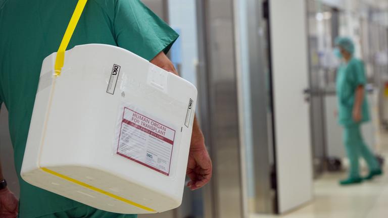 Ein Styropor-Behälter zum Transport von zur Transplantation vorgesehenen Organen wird am eines OP-Saales vorbei getragen. (Archivbild)