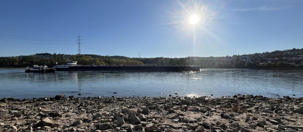 Ein Schiff fährt auf dem Rhein.