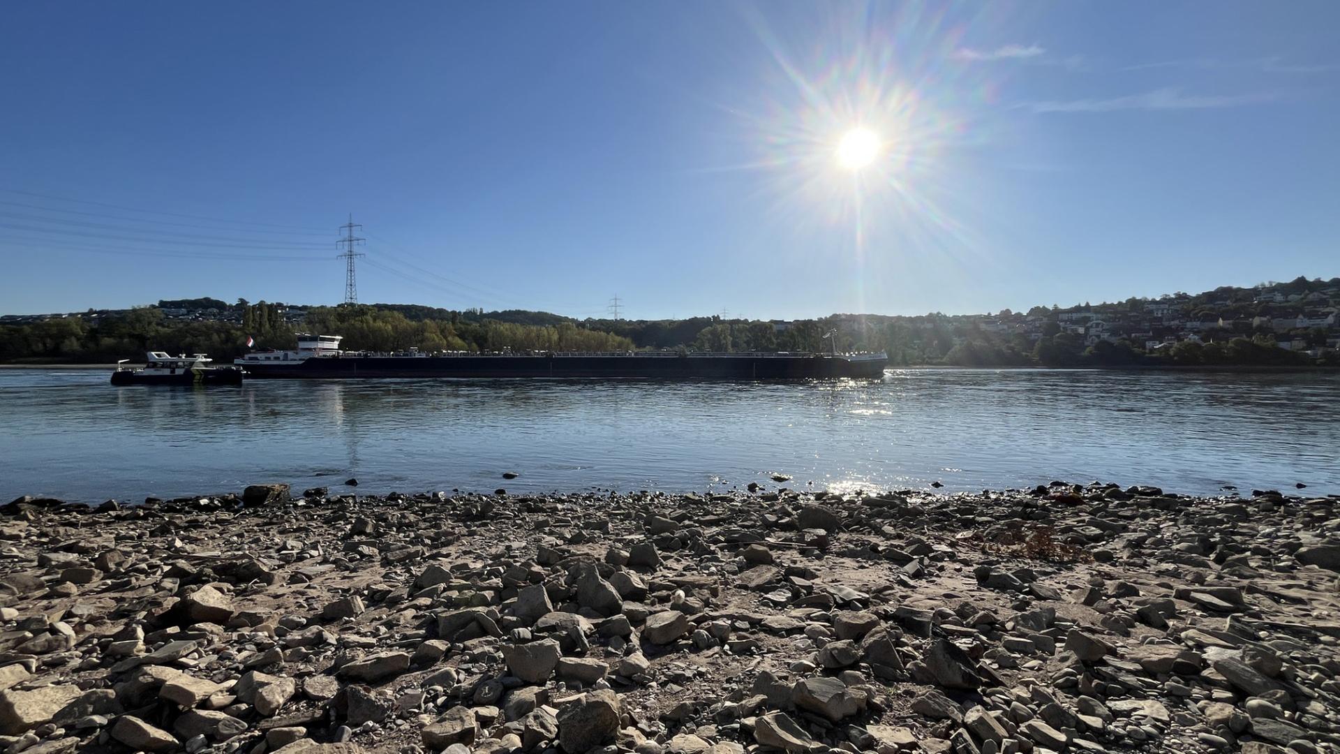 Ein Schiff fährt auf dem Rhein. | SWR/Sarah Mauer