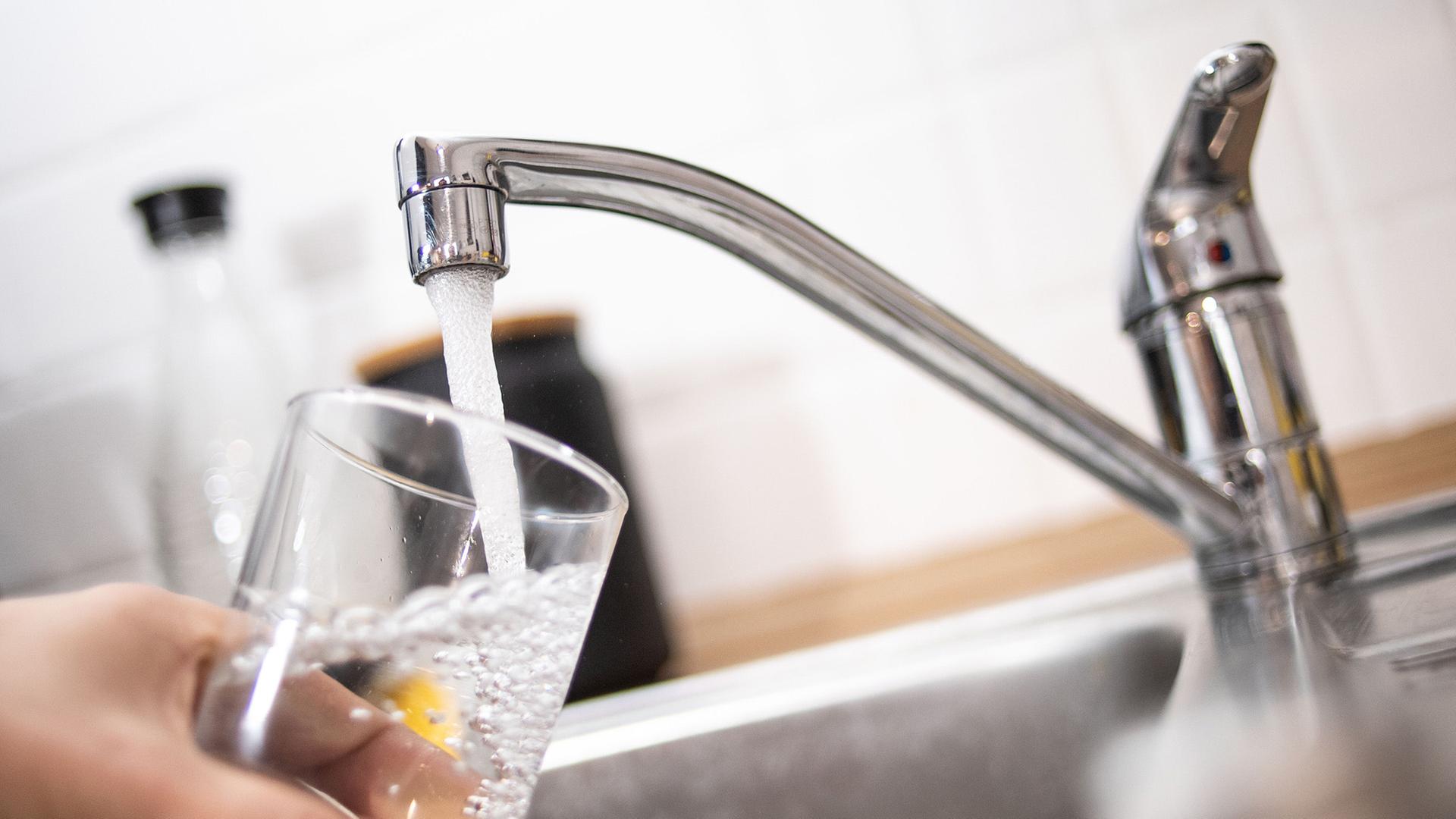 Eine Person h�lt ein Glas unter einen laufenden Wasserhahn. | picture alliance/dpa