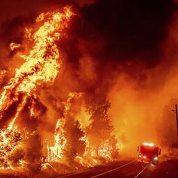 Ein Feuerwehrauto neben lichterloh brennenden Bäumen auf einer Straße im US-Bundesstaat Kalifornien