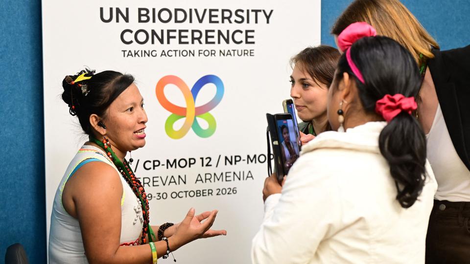 UN-Biodiversitätskonferenz in Armenien schließt mit Kompromiss ab