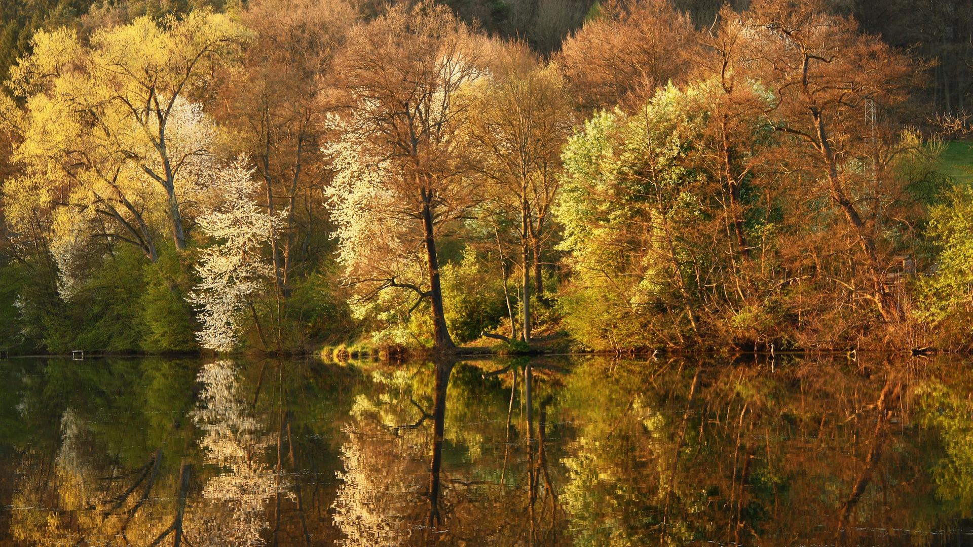 Der Niederwürzbacher Weiher im Herbst | IMAGO / Zoonar