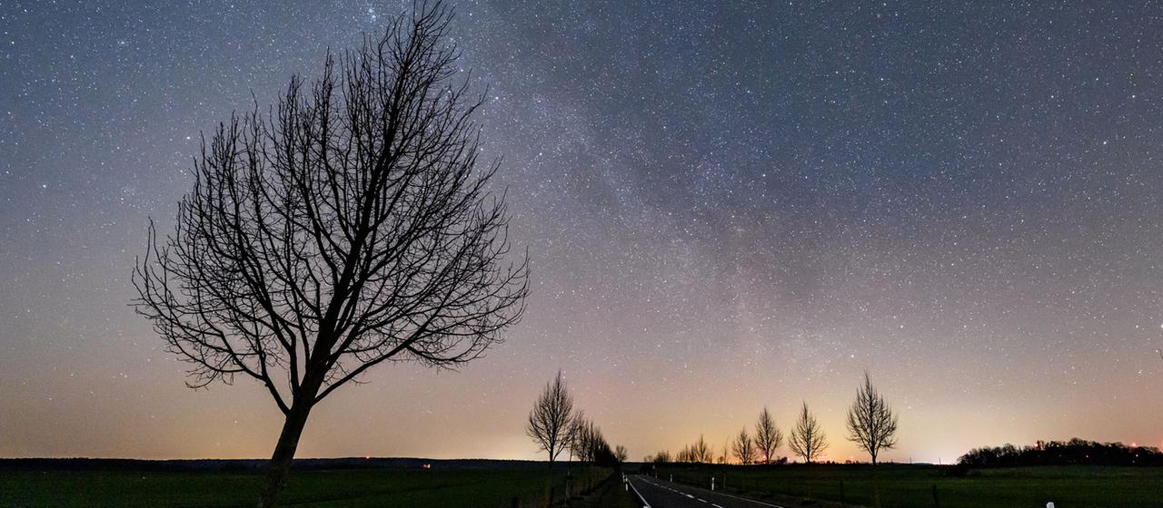 Unzählige Sterne leuchten in der Nacht über einer Landstraße im östlichen Brandenburg.