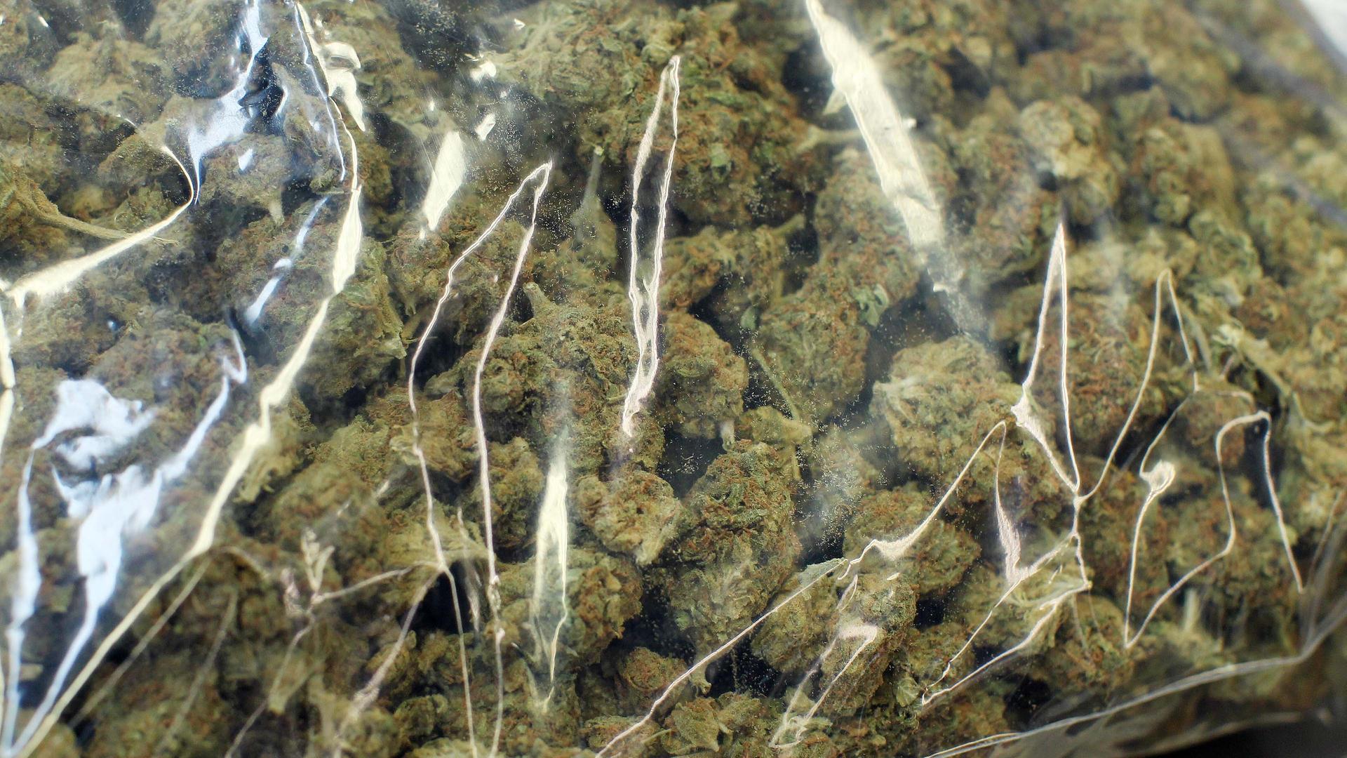 800 Kilo Cannabis bei Instagram verkauft? Prozess in Münster startet