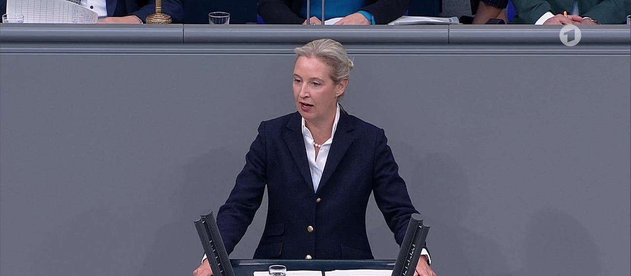 Weidel - aktuelle Nachrichten | tagesschau.de