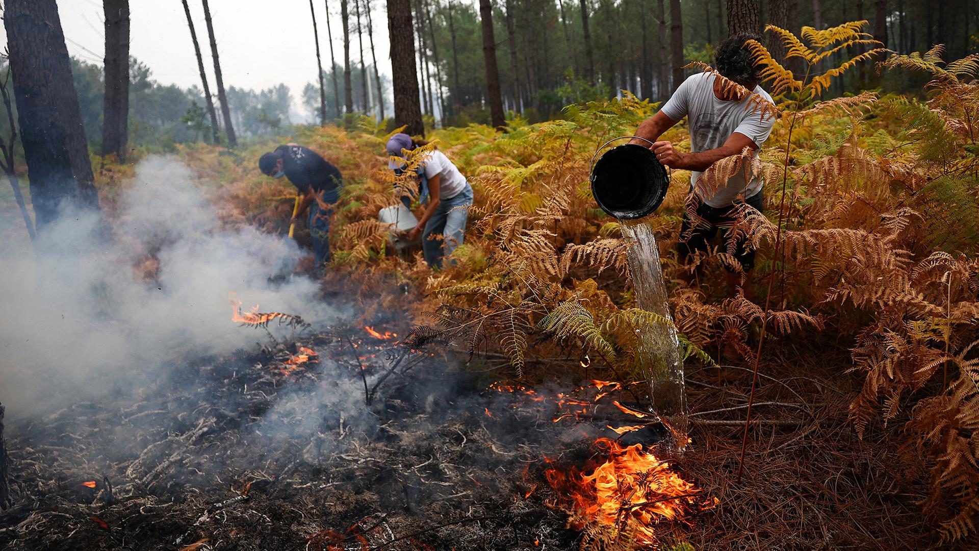 Waldbrände in Südeuropa: Landstriche zerstört, Menschen auf der Flucht