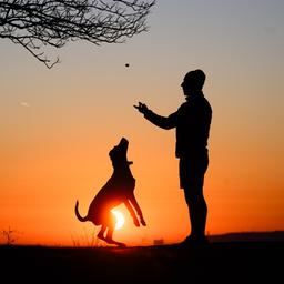 Ein Mann spielt draußen mit seinem Hund.