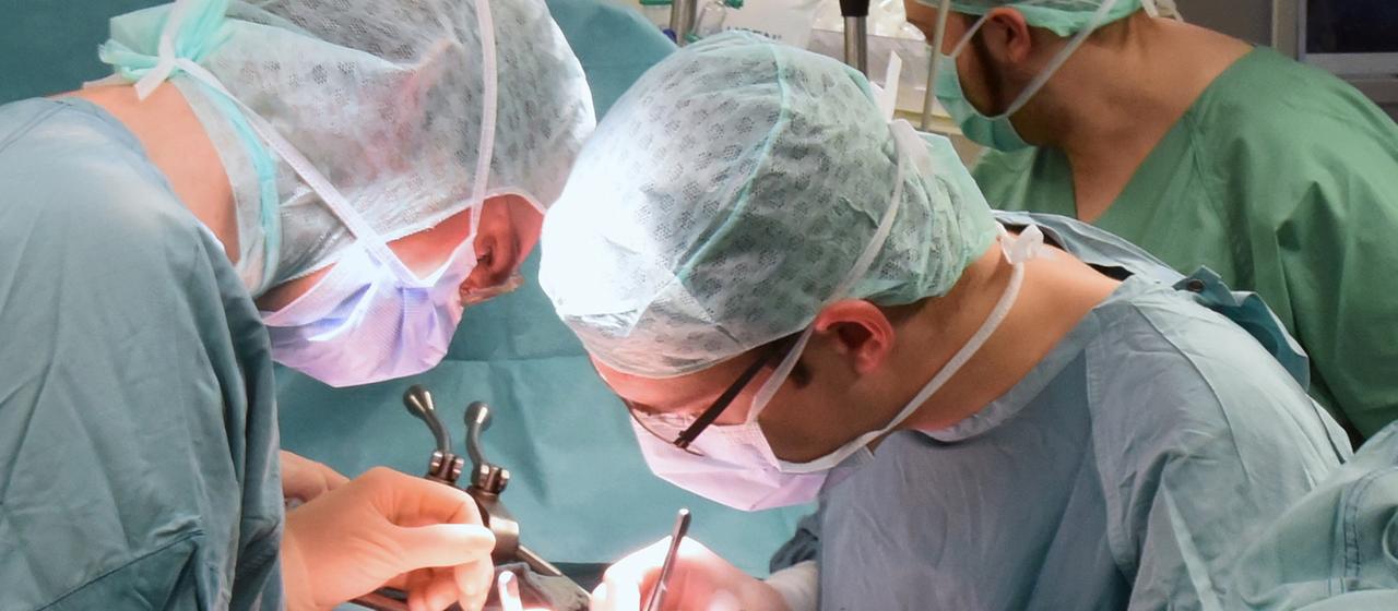 Im Transplantationszentrum am Universitätsklinikum Leipzig wird eine Niere beim Empfänger transplantiert.