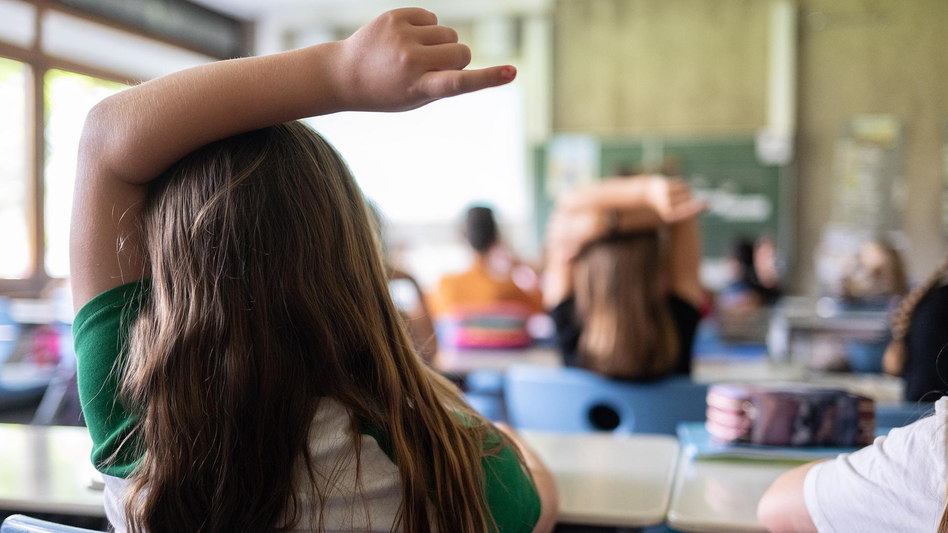 PISA-Chef sieht Nachteile für Schüler mit Migrationshintergrund