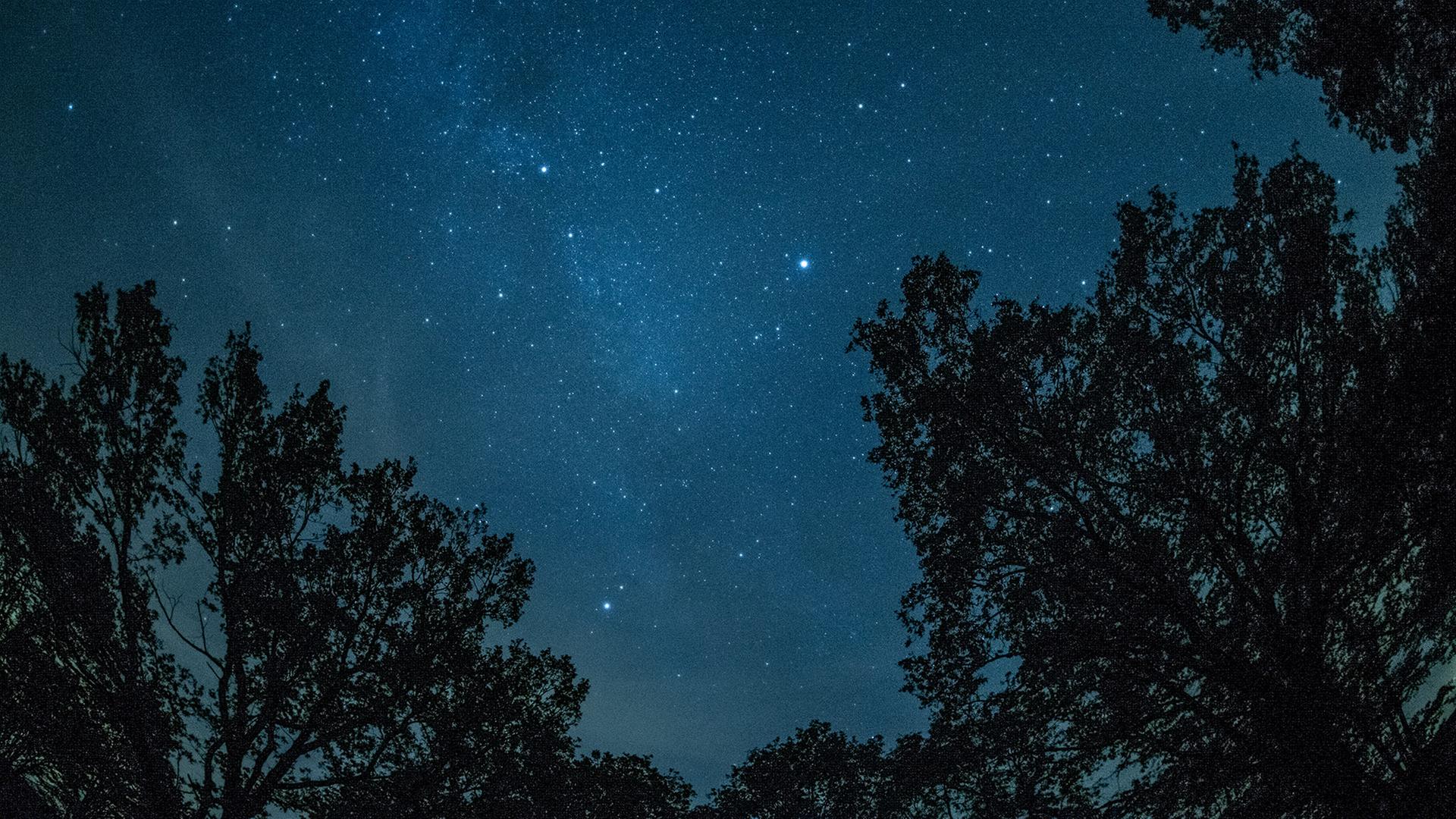 Die MilchstraÃe ist unweit von Prietzen (Brandenburg) am Himmel zu sehen. | dpa