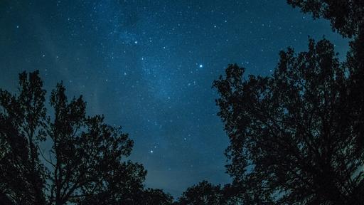 Der Mensch besteht aus Sternenstaub