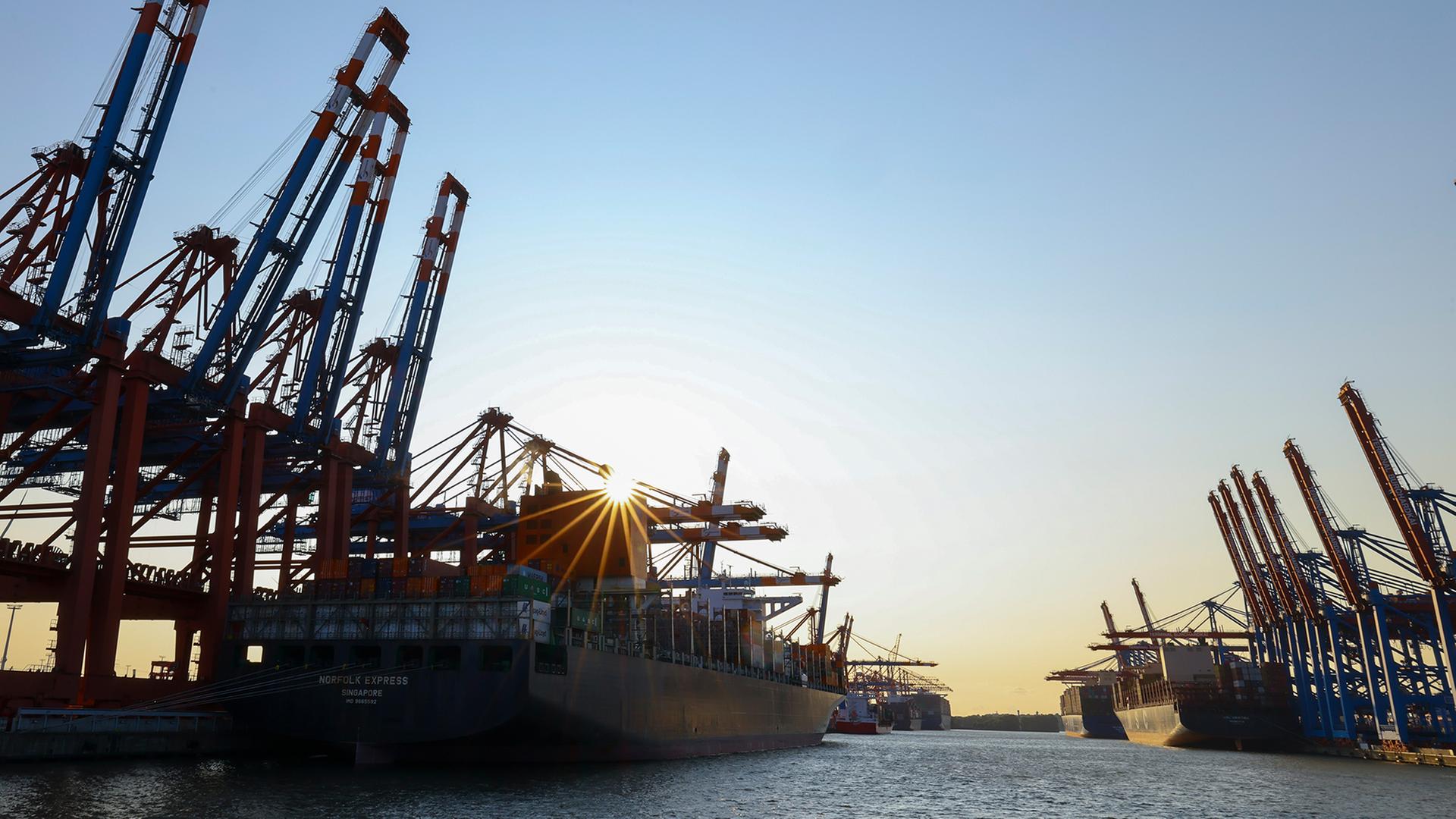 Container werden auf dem Terminal von Eurogate und dem Container Terminal Burchardkai im Hafen von Hamburg umgeschlagen. | dpa