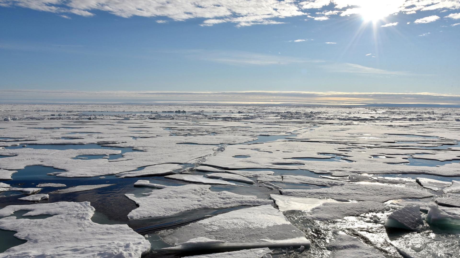 Nordpol: Auf dem Arktischen Ozean am Nordpol schwimmen Eisplatten. | dpa