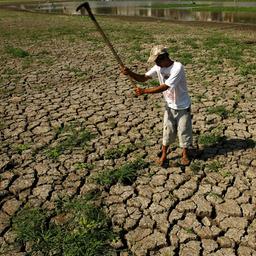 El Niño sorgt für extreme Wetterbedingungen.