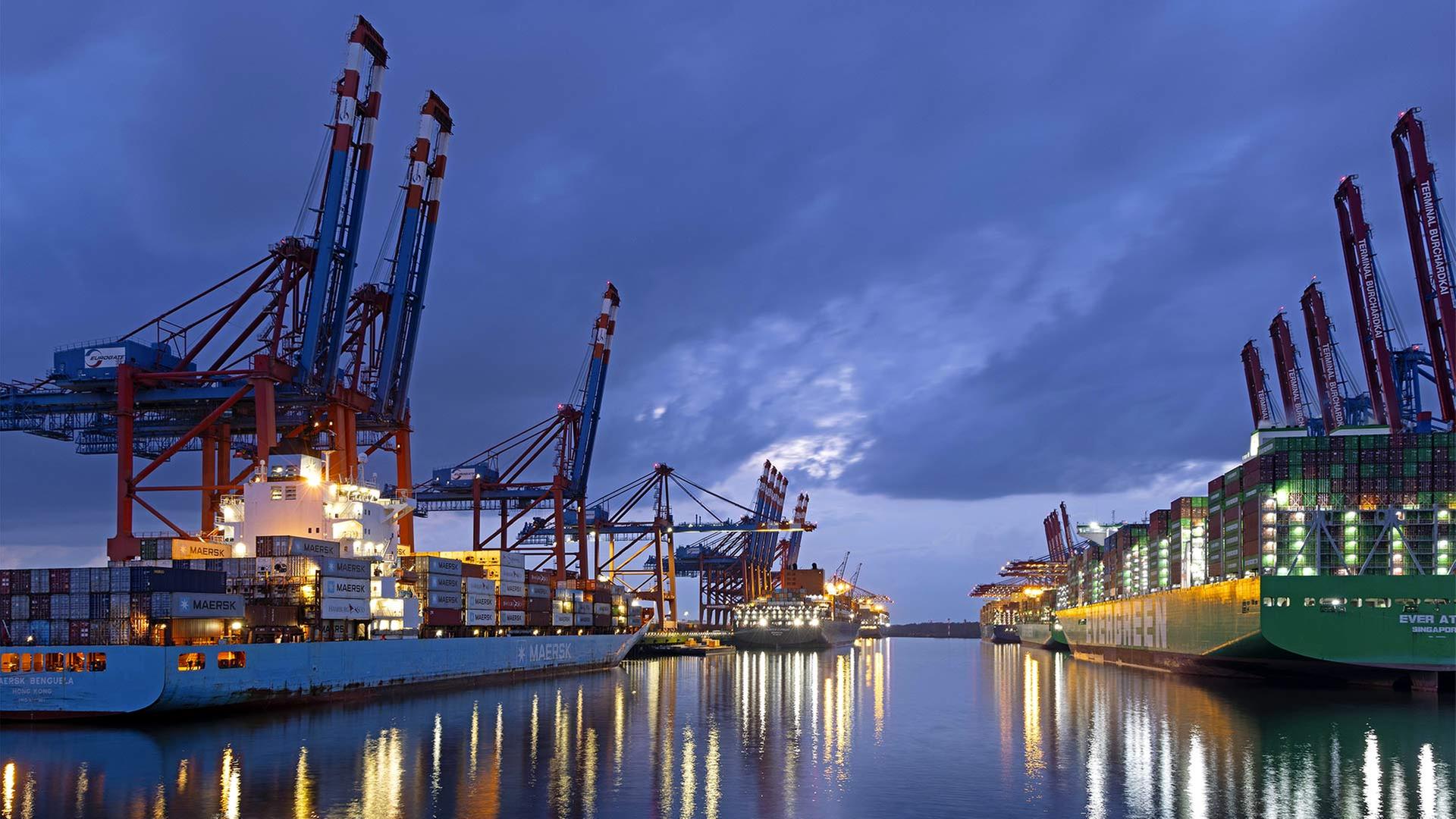 Containerschiffe am Terminal Burchardkai, Hafen Hamburg. | picture alliance / imageBROKER