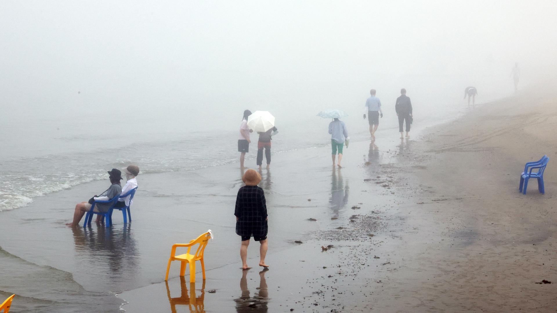 Gwangalli-Strand in Südkorea, Eule in Nepal, Kunstwerk von Osmany Betancourt
