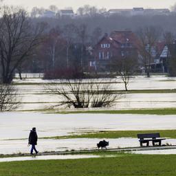 Eine Person geht bei Hochwasser in Nidderau, Hessen, mit einem Hund spazieren.