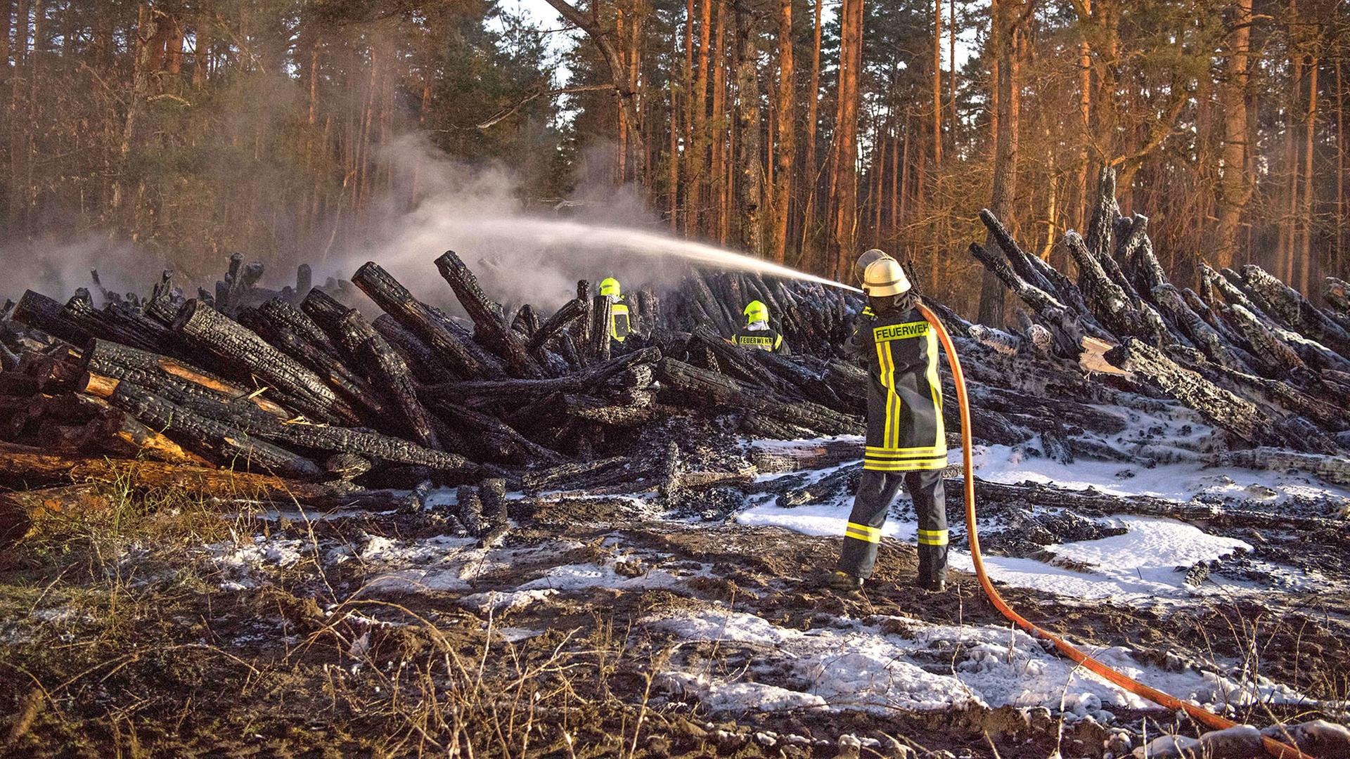 GlobWeather Channel Fast 300 Waldbrände in Brandenburg - Wetter minderte Risiko