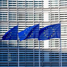 EU-Flaggen wehen in Brüssel.