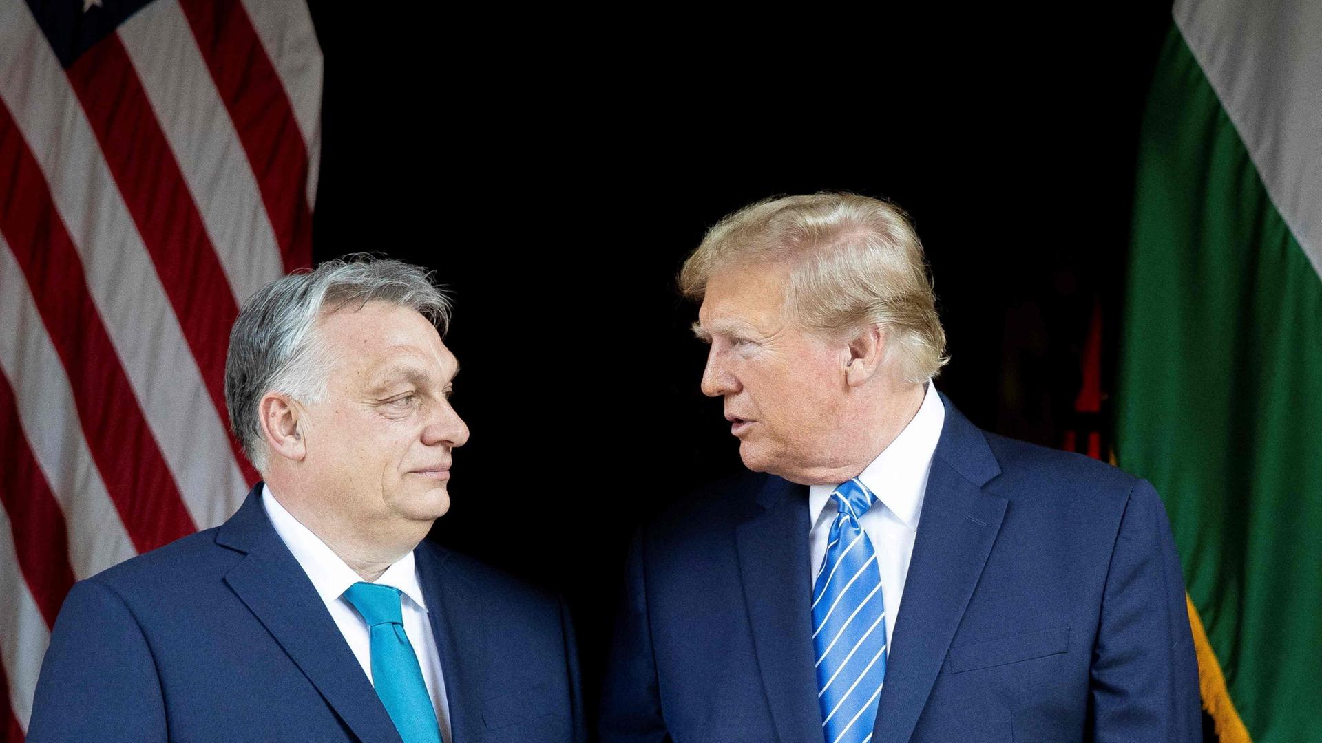 Trump-Anruf bei Orban - Budapest möglicher Ort für Ukraine-Gipfel