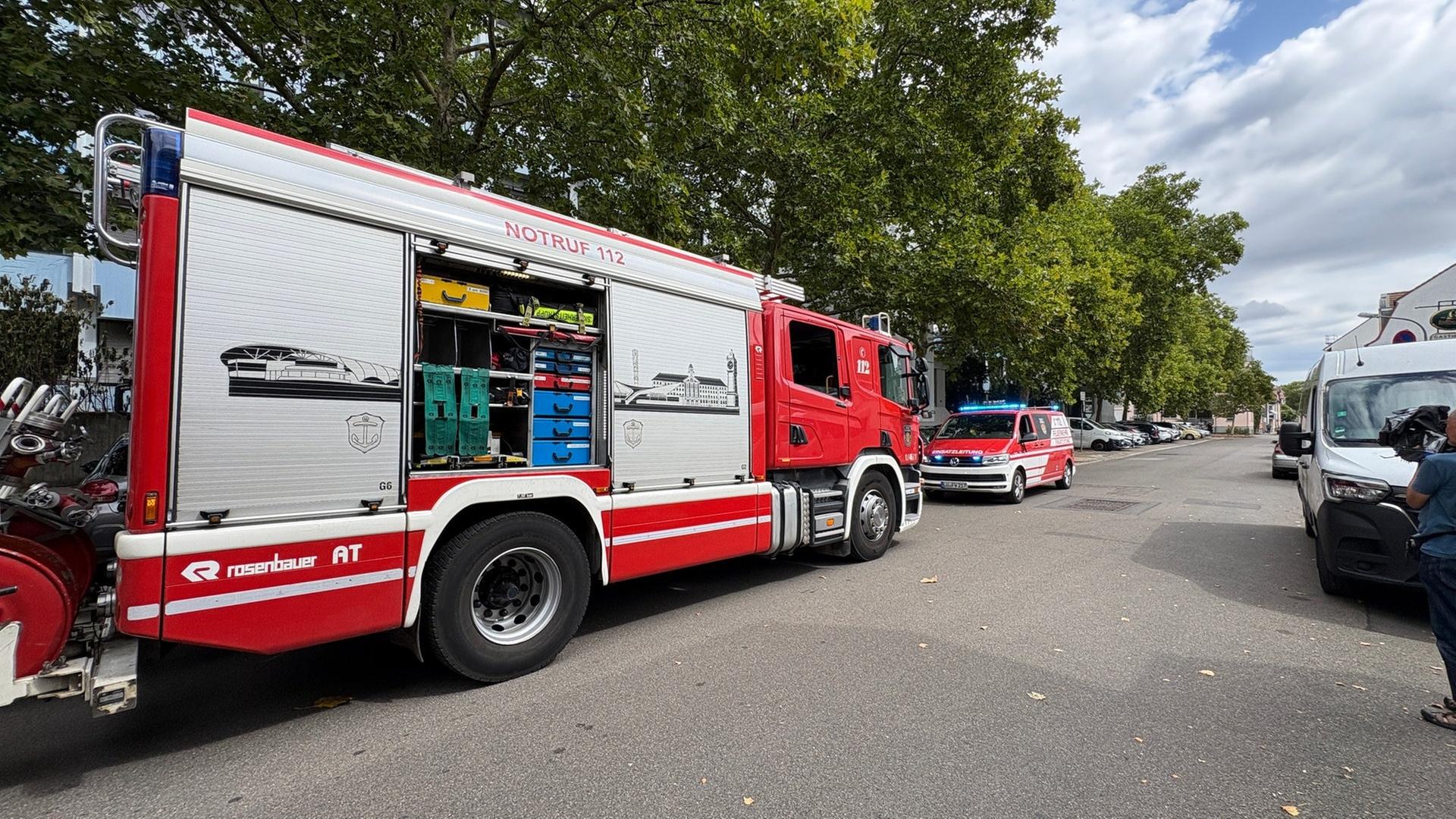 Ludwigshafen: Zwei Feueralarme und eine Schlägerei an Karolina-Burger-Realschule plus