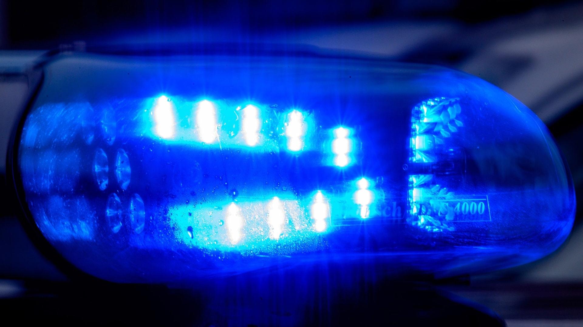 Hund sorgt für Polizeieinsatz auf A8 - Verkehr für mehrere Stunden ausgebremst