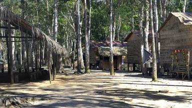 Traditionelle Holzhäuser im Dorf der Tuyuca (Bundesstaat Amazonien, Brasilien).