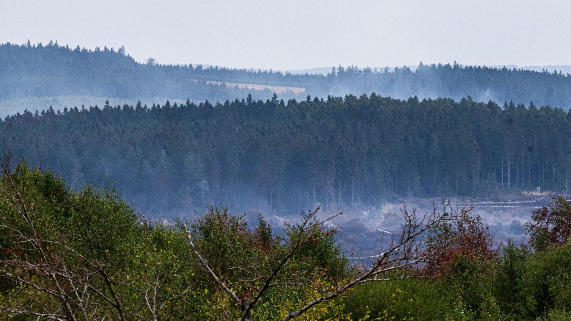 Feuer in Naturschutzgebiet: Erster Verdacht zur Brandursache im Hohen Venn