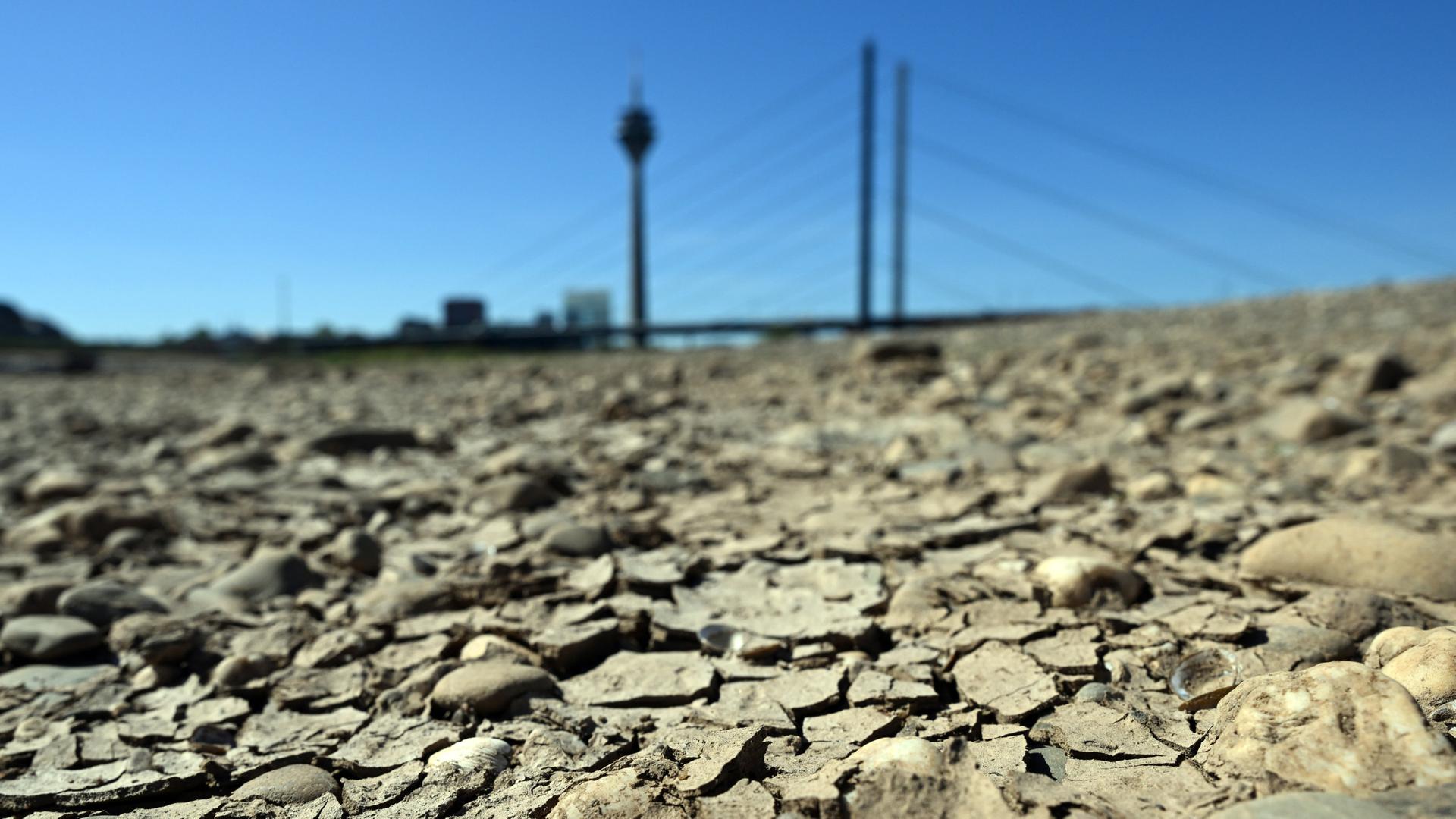 Die Bilanz eines extremen Sommers
