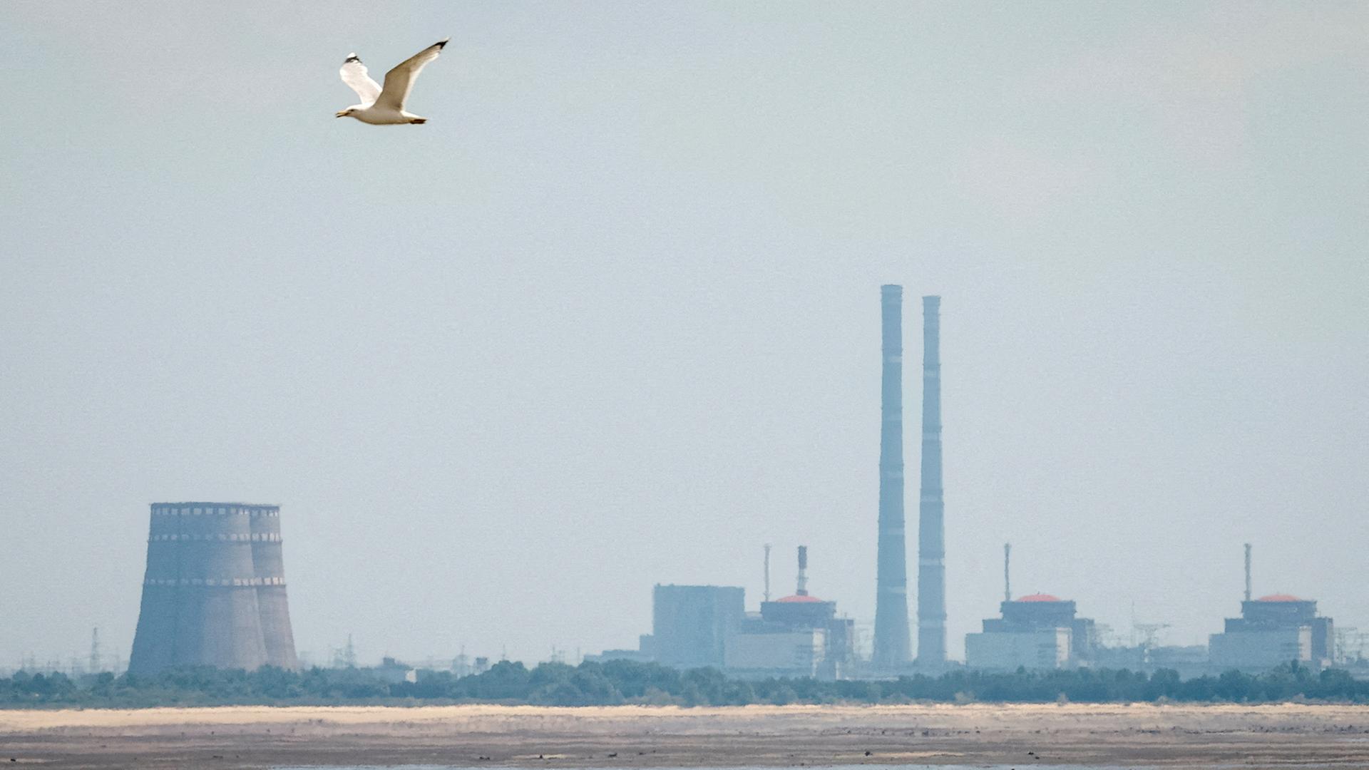 AKW Saporischschja, Ukraine | REUTERS