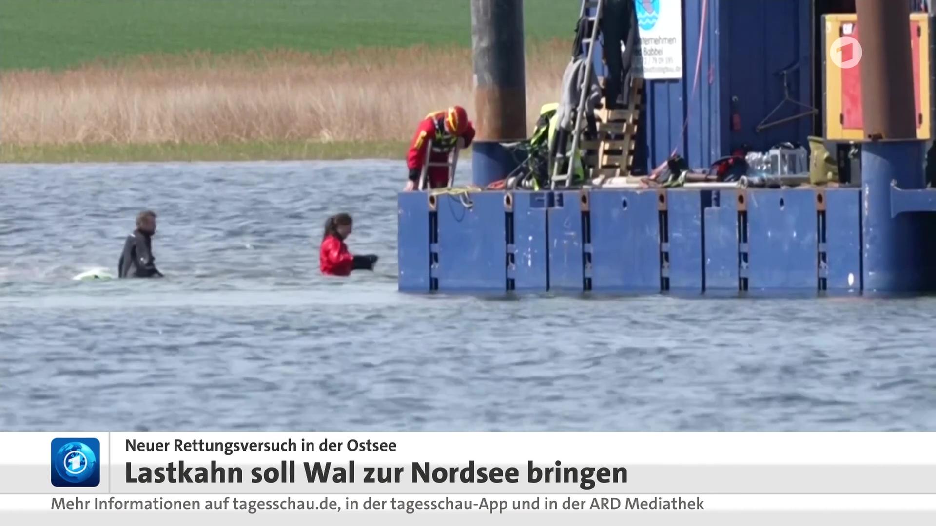 Sendungsbild | ARD-aktuell