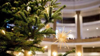 Weihnachtsbaum in Kirche