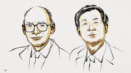 Chemie-Nobelpreis für Franzosen und Japaner