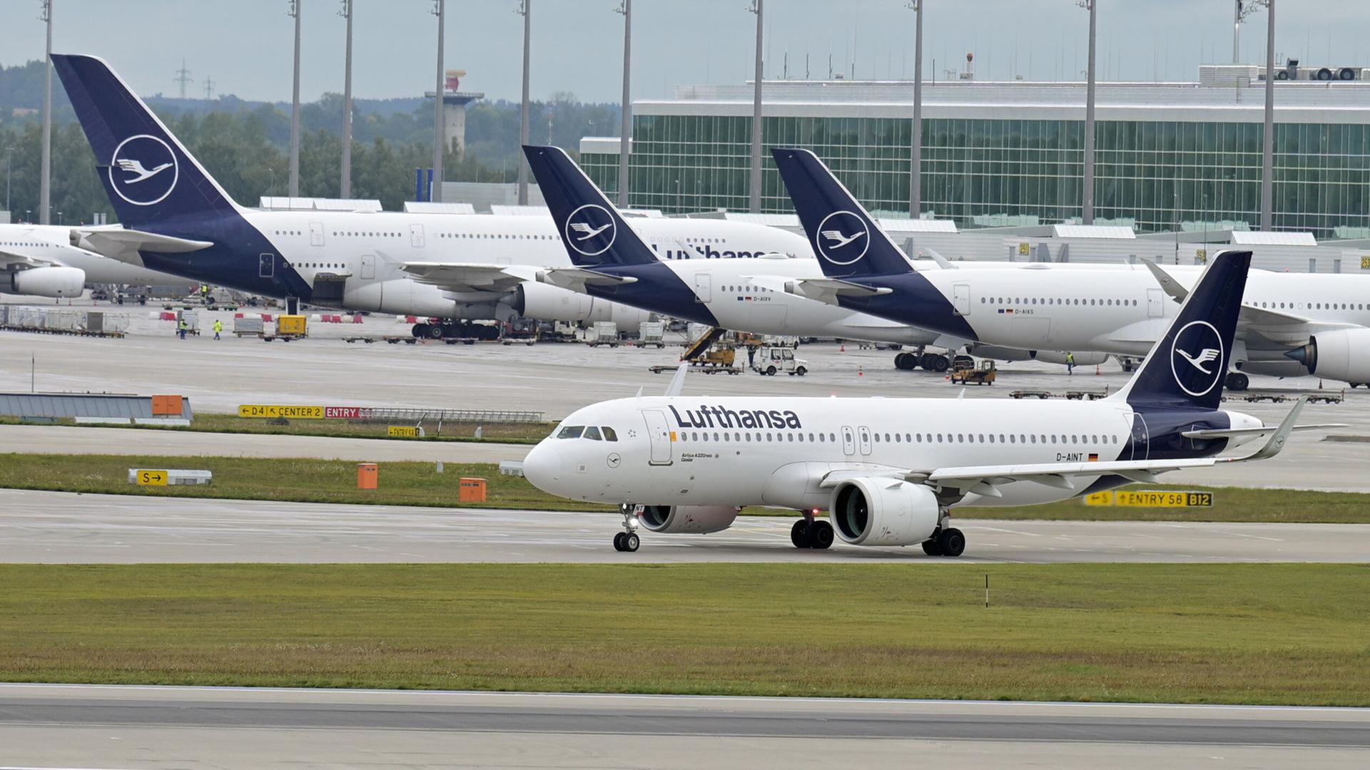 Flieger der Lufthansa auf dem Flughafen München. | picture alliance/dpa/Malin Wunde