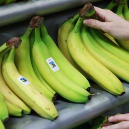 Bananen mit Fairtrade-Sigel