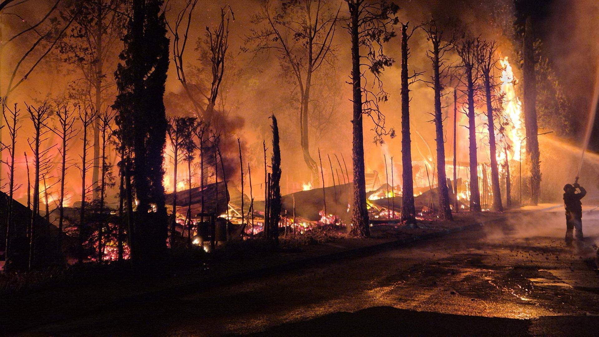 Flammen schlagen zwischen Bäumen auf einem Campingplatz am Gardasee auf.  | Florian Blaes/dpa